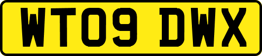 WT09DWX