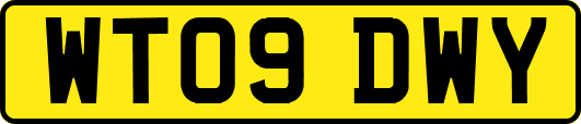 WT09DWY