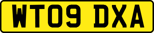 WT09DXA