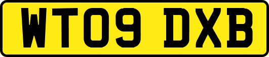 WT09DXB