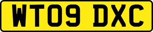 WT09DXC