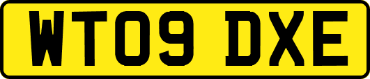 WT09DXE