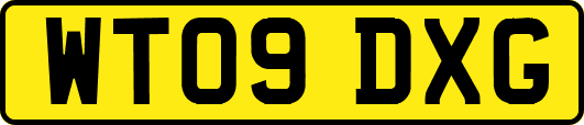WT09DXG