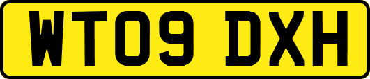 WT09DXH