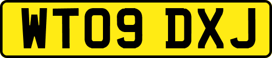 WT09DXJ