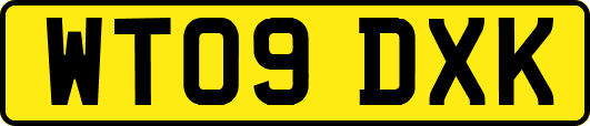 WT09DXK
