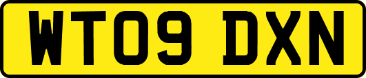 WT09DXN
