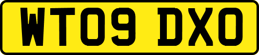 WT09DXO