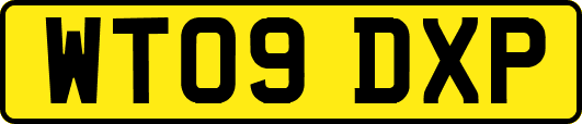 WT09DXP