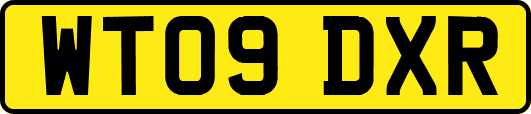 WT09DXR