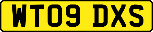 WT09DXS
