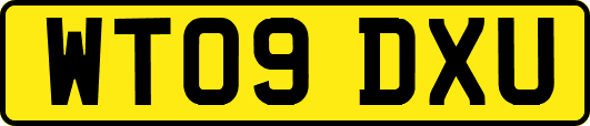 WT09DXU