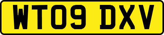 WT09DXV