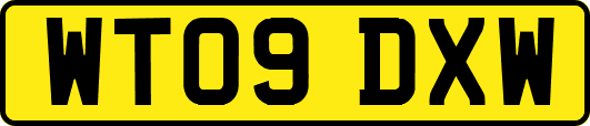 WT09DXW