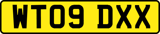 WT09DXX