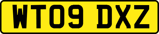 WT09DXZ
