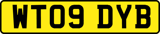 WT09DYB