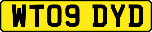 WT09DYD