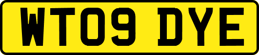 WT09DYE