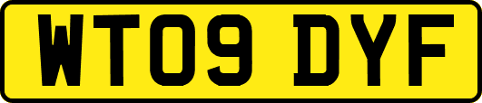 WT09DYF