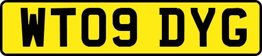 WT09DYG
