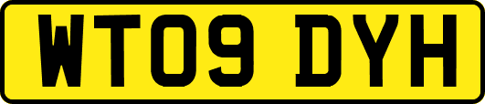 WT09DYH