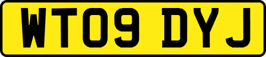 WT09DYJ