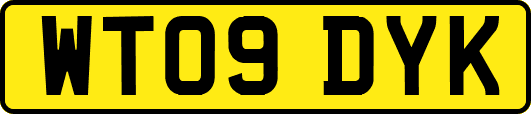 WT09DYK