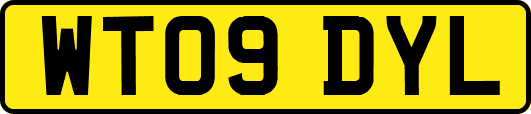 WT09DYL