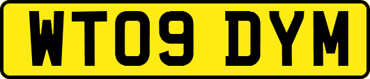 WT09DYM