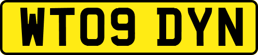 WT09DYN