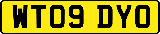 WT09DYO