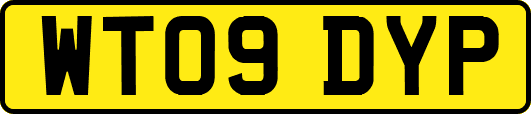 WT09DYP