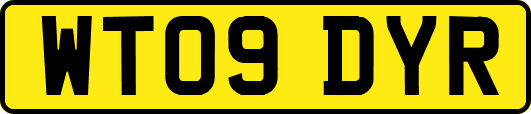 WT09DYR