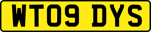 WT09DYS