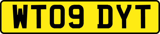 WT09DYT