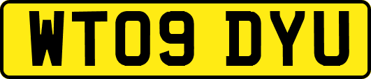 WT09DYU