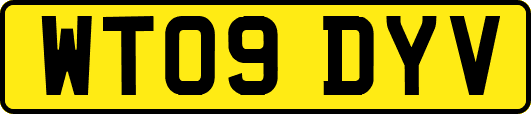 WT09DYV
