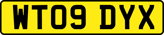 WT09DYX