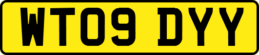 WT09DYY