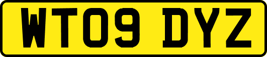 WT09DYZ