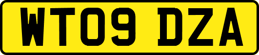 WT09DZA