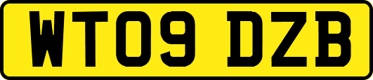 WT09DZB