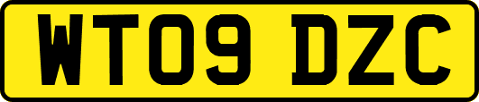 WT09DZC