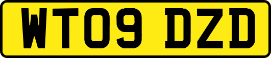 WT09DZD