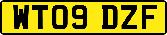 WT09DZF