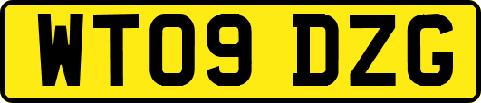 WT09DZG
