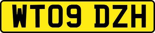 WT09DZH