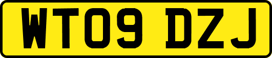 WT09DZJ
