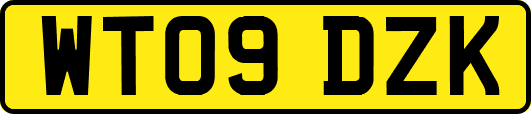 WT09DZK